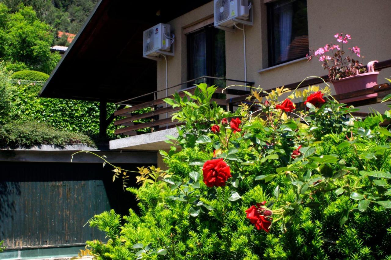 Na Kopitarjevi Hotel Lasko Luaran gambar