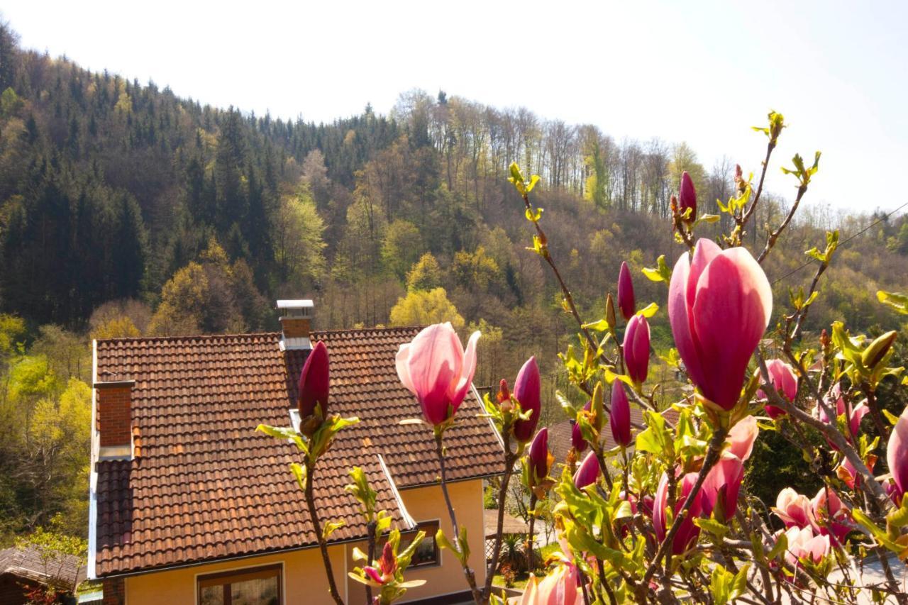 Na Kopitarjevi Hotel Lasko Luaran gambar