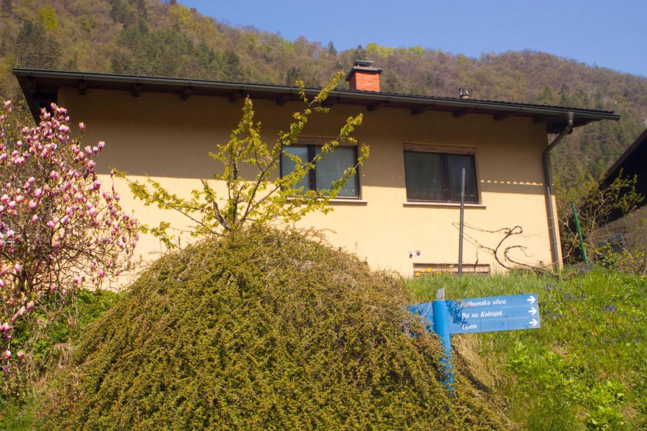 Na Kopitarjevi Hotel Lasko Luaran gambar