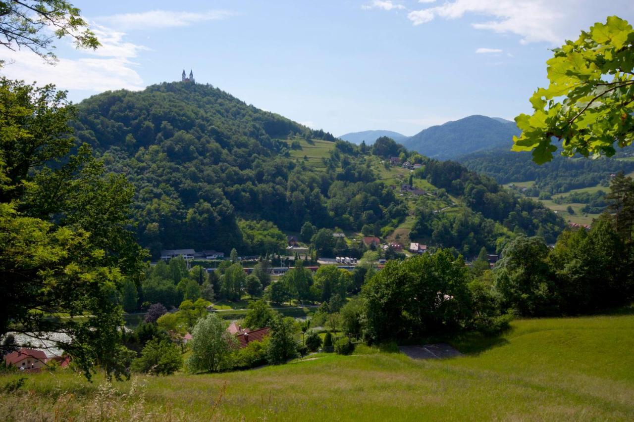 Na Kopitarjevi Hotel Lasko Luaran gambar